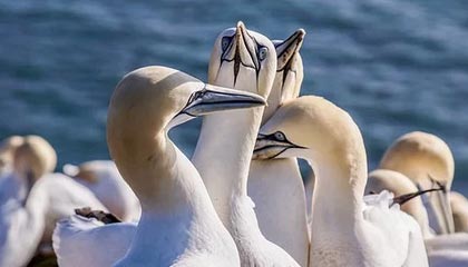 B体育移动端-男单短节目排名11 金博洋：对得起这四年的努力